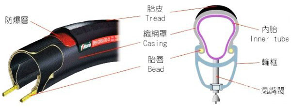 ɽ�س���̥֪ʶ