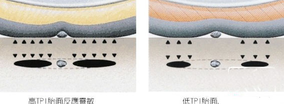 ɽ�س���̥֪ʶ